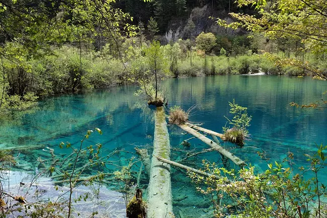 Jiuzhaigou nature reserve