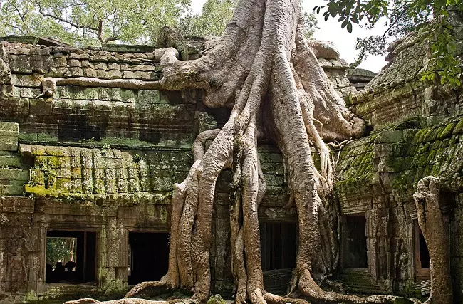 The ruins of Ta Prohm