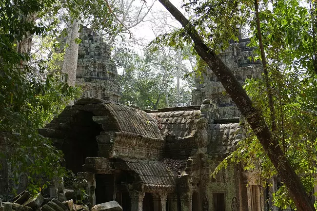 The ruins of Ta Prohm