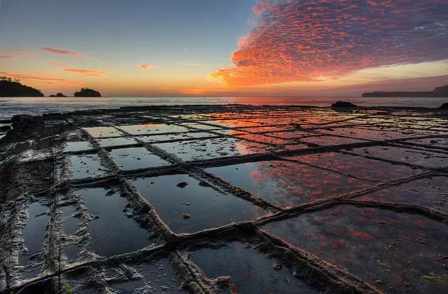 Tessellated Pavement in Tasmania