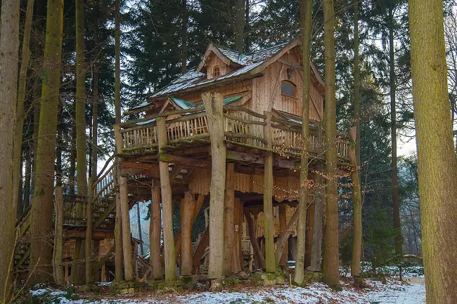 Tree house