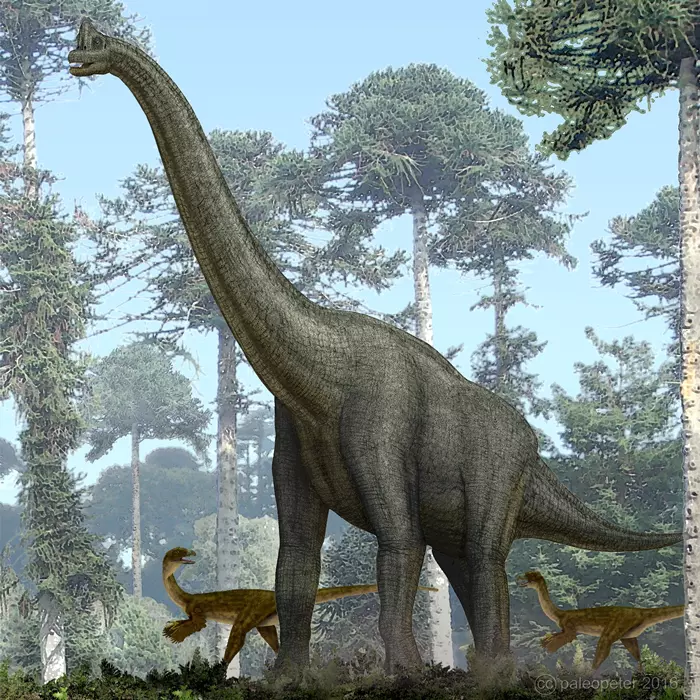 Reconstruction of Giraffatitan brancai