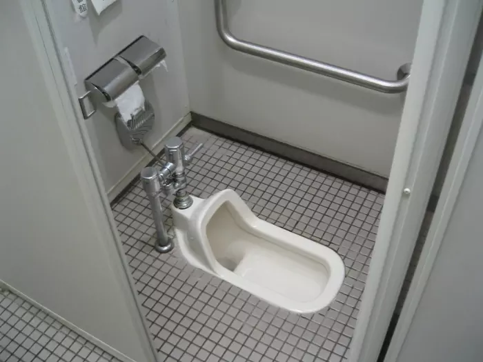 Asian-style Toilet in Tokyo