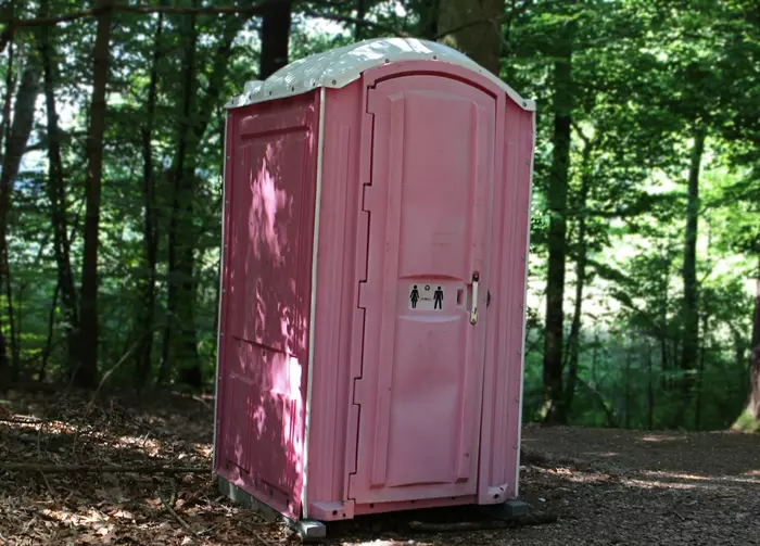 Pink toilet on the forest path