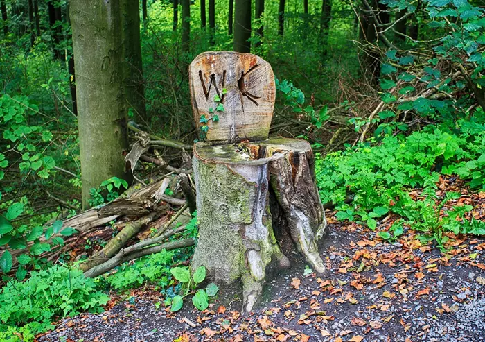 Natural toilet made from stump